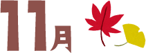 11月